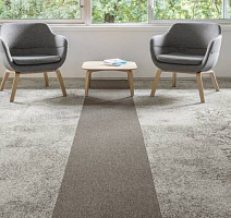 Balsan Nexus Sonic Confort